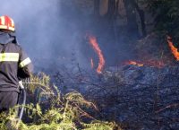 Υπό μερικό έλεγχο η φωτιά στην περιοχή Κούμανη της Ηλείας
