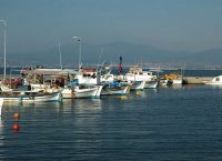 Διάρρηξη στο λιμάνι στην Αρτέμιδα – Δεν έχει φύλαξη