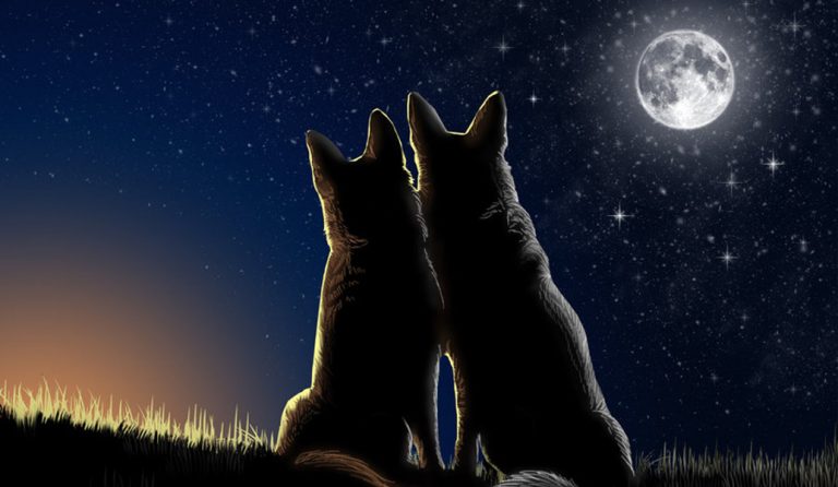 Πανσέληνος: Όταν το φεγγάρι μιλάει στην καρδιά σου – Η Σελήνη στην αγάπη