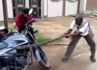 Παγίδευσε και σκότωσε σπάνιο φίδι και βρέθηκε στη φυλακή