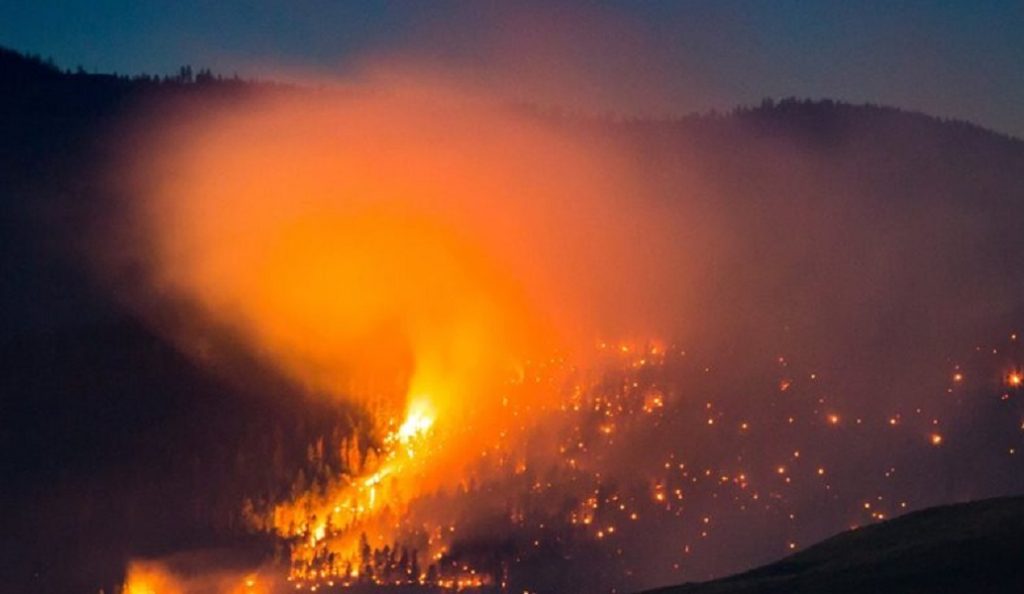 Πυρκαγιά σε δασική έκταση στο Καρπενήσι