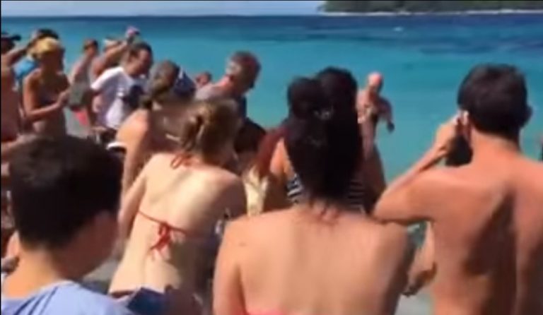 Δελφίνι βγήκε στη… στεριά -Ξετρελάθηκαν στη Σκόπελο (vid)