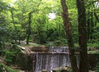 Από σήμερα τα δρομολόγια λεωφορείων Θεσσαλονίκη – Λουτρά Πόζαρ