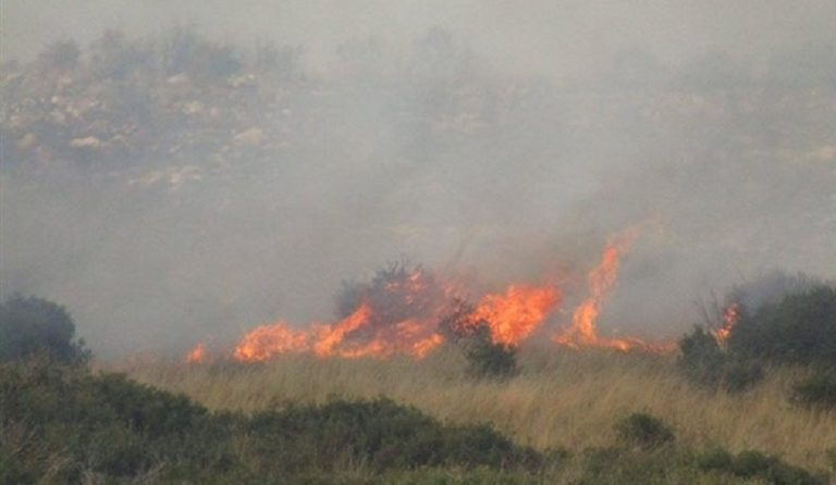 Φωτιά τώρα: Πυρκαγιά λίγο έξω από τη Θεσσαλονίκη