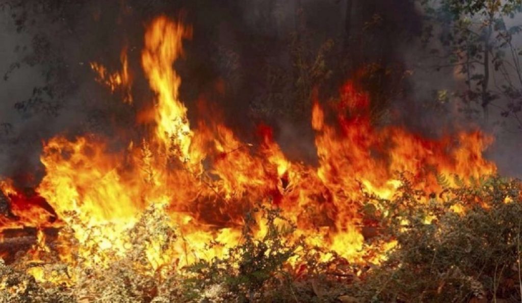 Φωτιά ξέσπασε στο νησάκι Χρυσή