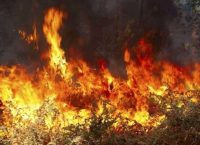 Φωτιά ξέσπασε στο νησάκι Χρυσή