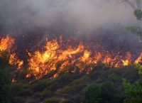 Φωτιά τώρα: Καίγεται ο Πύργος Ηλείας
