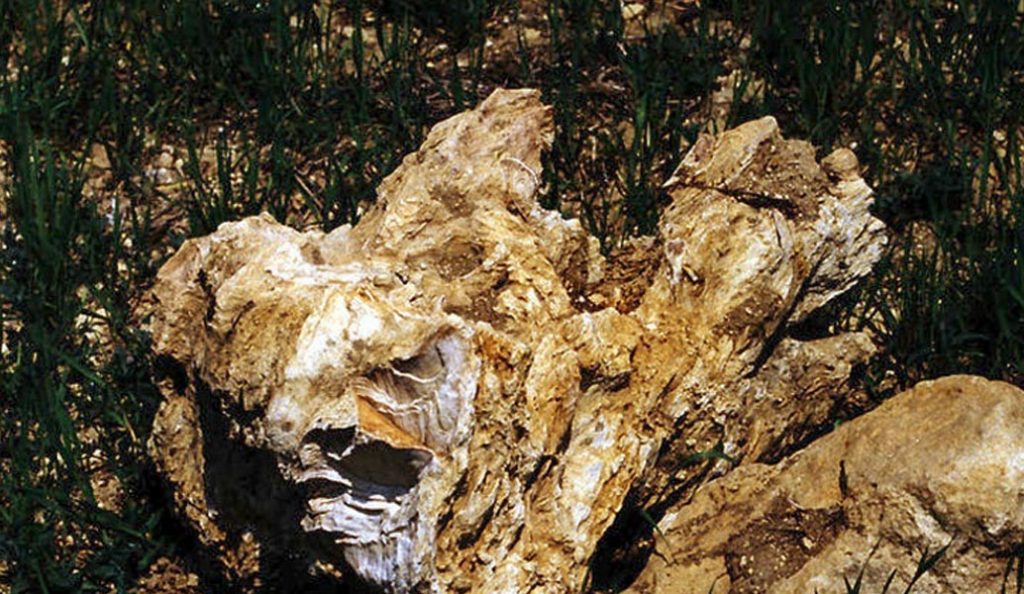 Ξενοδόχοι Εύβοιας: Κίνηση μείζονος σημασίας η δημιουργία γεωπάρκου στην Κερασιά