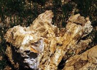 Ξενοδόχοι Εύβοιας: Κίνηση μείζονος σημασίας η δημιουργία γεωπάρκου στην Κερασιά