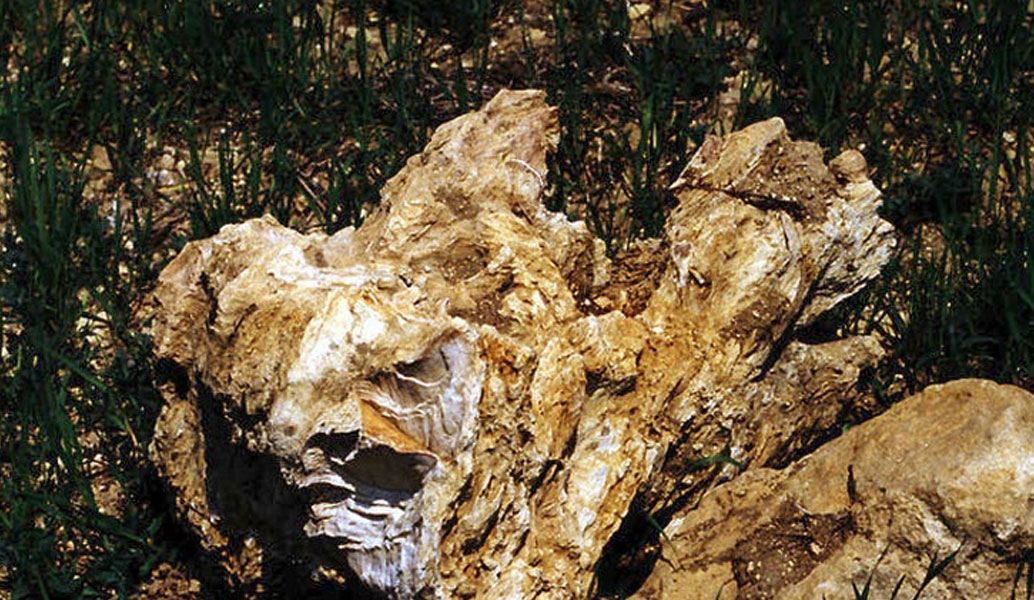 Στη δημιουργία γεωπάρκου στην Κερασιά Ευβοίας προχωρά η Περιφέρεια Στ. Ελλάδας