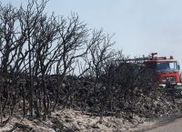 Οριοθετήθηκε η πυρκαγιά στα Κύθηρα – Δεν υπάρχει ενεργό μέτωπο