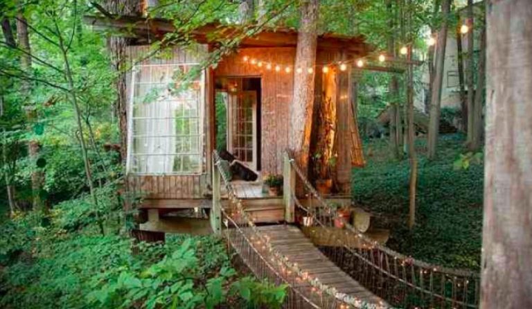 Ένα… δεντρόσπιτο είναι το πιο δημοφιλές κατάλυμα στην Airbnb (pics)