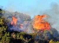 Φωτιά τώρα: Κινδυνεύει αρχαιολογικός χώρος στο Μεσολόγγι