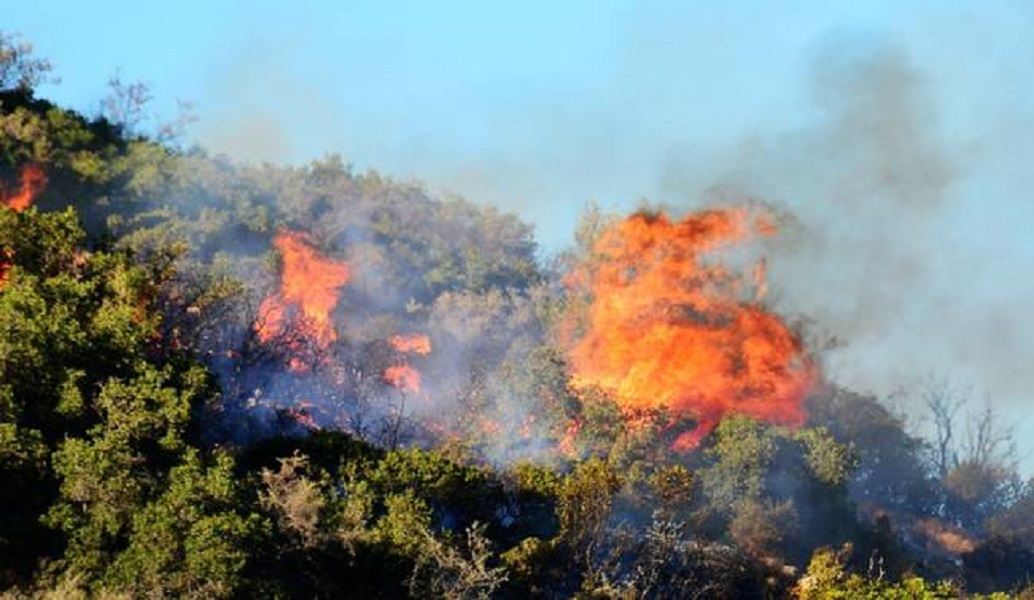 Ηλεία: Πέρασε ο κίνδυνος για τα Ροδινά, η πυρκαγιά μαίνεται σε χαράδρα
