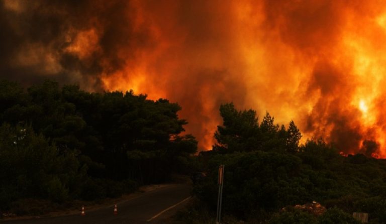 Σε εξέλιξη οι πυρκαγιές σε Αρκαδία και Φθιώτιδα