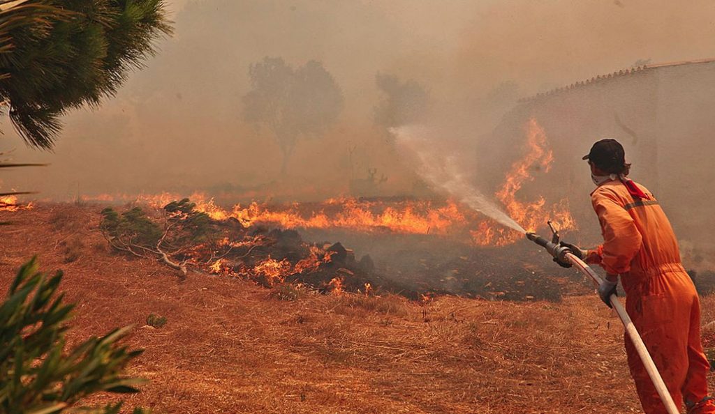 Συναγερμός στη Ζάκυνθο: Εμπρηστές καίνε το νησί – Εκδηλώθηκε νέο μέτωπο (pics)