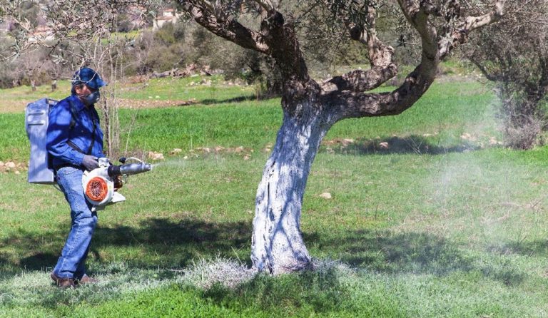 Δ. Καλαμάτας: Συνεχίζονται οι ψεκασμοί για τη δακοκτονία