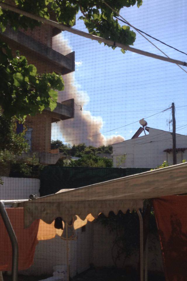 Οι λόγοι που συντέλεσαν στην εξάπλωση της πυρκαγιάς στον Κάλαμο