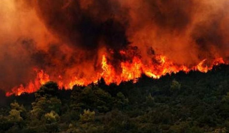 Νέες φωτιές στην Κεφαλονιά