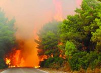 Πυρκαγιά στην Πάτρα: Μάχη με τις φλόγες σε αγροτοδασική έκταση κοντά στο Σαντομέρι
