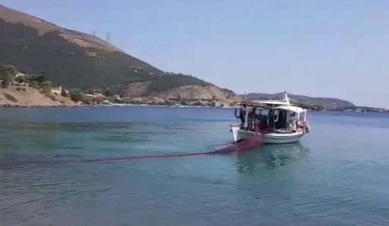 Επιχείρηση “μέδουσα”: Ρίχνουν δίχτυα για να τις πιάσουν και να κάνουν μπάνιο οι λουόμενοι (vid)