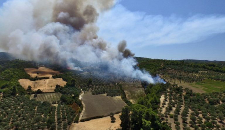 Πυρκαγιά στην Αμαλιάδα: Απειλεί τον οικισμό Περιστέρι – Εκκενώθηκε το χωριό Ανάληψη (pics & vid)