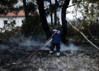 Πυρκαγιά Νεμέα: Καίει αγροτοδασική έκταση (pics)