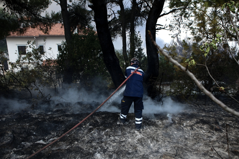 Ηλεία: Υπό μερικό έλεγχο η φωτιά που ξέσπασε στην περιοχή Κορυφή