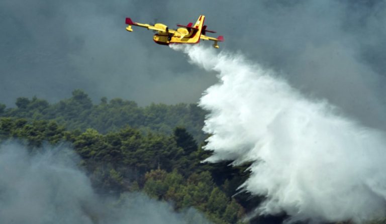 Σε ύφεση η φωτιά στην Ηλεία – Ενισχύονται οι δυνάμεις της Πυροσβεστικής (pics&vid)