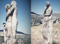 Μια βόλτα στη “σκοτεινή” πλευρά της Πάρνηθας