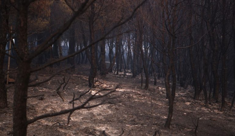Περιφέρεια Αττικής: Εργασίες καθαρισμού ρεμάτων στις καμένες περιοχές στον Κάλαμο