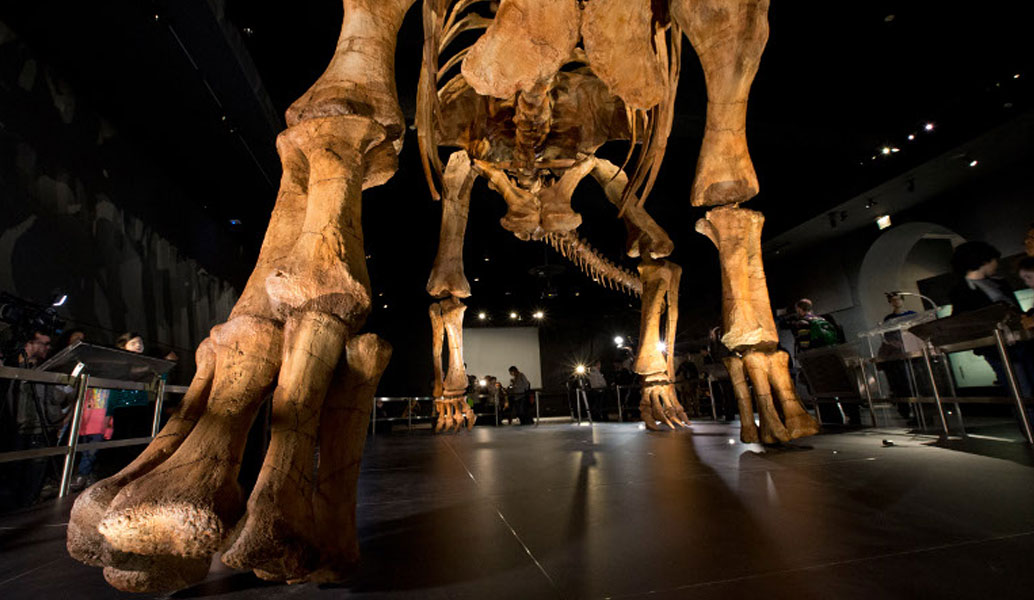 “Παταγοτιτάν”: Αυτός ήταν ο μεγαλύτερος δεινόσαυρος στη Γη! (vid)