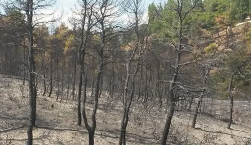 Ενεργοποιήθηκε το σύστημα “Κοπέρνικος” για δορυφορική χαρτογράφηση των καμμένων