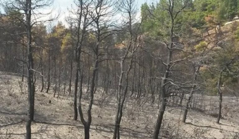 Ενεργοποιήθηκε το σύστημα “Κοπέρνικος” για δορυφορική χαρτογράφηση των καμμένων