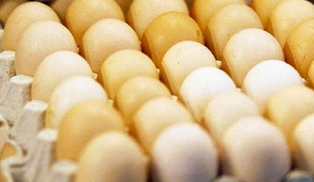 Διατροφικό σκάνδαλο: Εντομοκτόνο fipronil εντοπίστηκε και σε τρόφιμα με αυγά