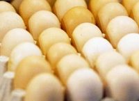 Διατροφικό σκάνδαλο: Εντομοκτόνο fipronil εντοπίστηκε και σε τρόφιμα με αυγά