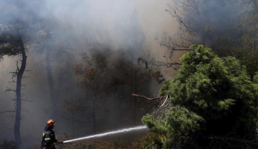 Πυρκαγιά στην περιοχή Αλφειούσα της Ηλείας