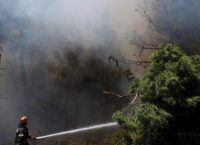 Υπό μερικό έλεγχο η πυρκαγιά στη Δημητσάνα Αρκαδίας