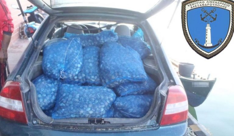 Θράκη: Εντοπίστηκαν και κατασχέθηκαν 984 κιλά ακατάλληλα όστρακα