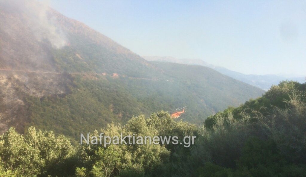 Πυρκαγιά στο Μολύκρειο Ναυπακτίας (vid)