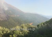 Πυρκαγιά στο Μολύκρειο Ναυπακτίας (vid)