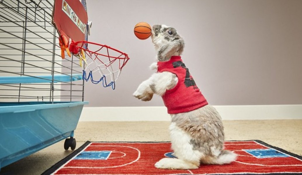 Ρεκόρ Γκίνες 2018: Oι νέες είσοδοι που ξεχώρισαν