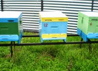 Μελισσοκομία ενίσχυση: 200 χιλιάδες ευρώ από το υπουργείο Αγροτικής Ανάπτυξης