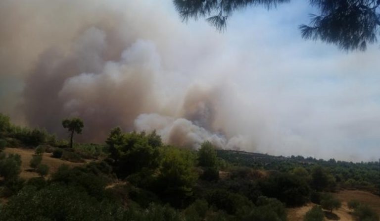 Κρήτη: Φωτιά στις Ασίτες Ηρακλείου