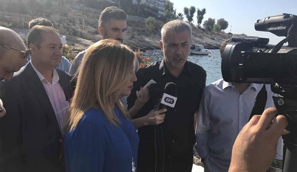 Φώφη Γεννηματά κατά κυβέρνησης για την πετρελαιοκηλίδα