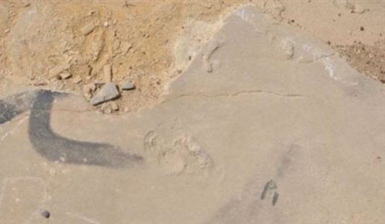 Κίσσαμος: Έκλεψαν απολιθώματα αποτυπωμάτων