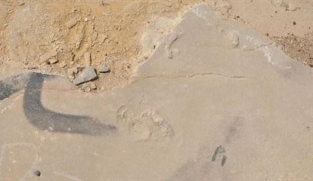 Κίσσαμος: Έκλεψαν απολιθώματα αποτυπωμάτων