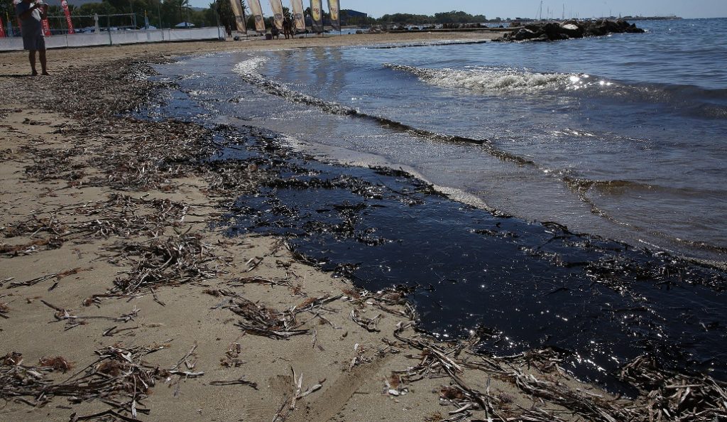 Greenpeace για την πετρελαιοκηλίδα: Μη αναστρέψιμες οι καταστροφές – Το μαζούτ σκοτώνει τα πάντα στη θάλασσα