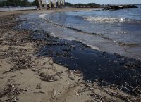 Greenpeace για την πετρελαιοκηλίδα: Μη αναστρέψιμες οι καταστροφές – Το μαζούτ σκοτώνει τα πάντα στη θάλασσα