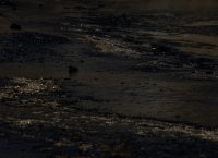 Πετρελαιοκηλίδα στον Σαρωνικό: Κλιμάκιο εμπειρογνωμόνων από το Ρότερνταμ έρχεται στην Αθήνα